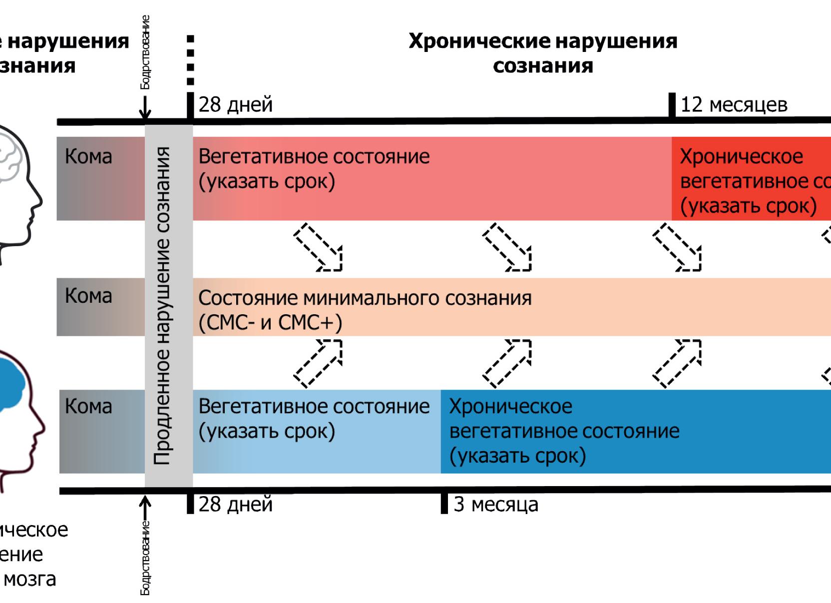 Вегетативное состояние — неудачный выход из комы длинною в жизнь
