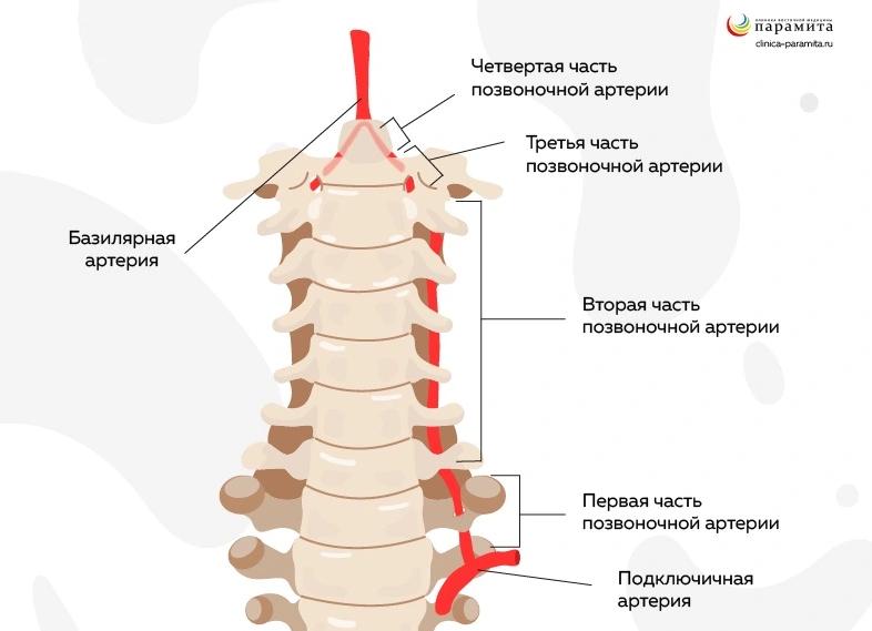 Унковертебральный артроз шейного отдела позвоночника — что провоцирует и как лечить?