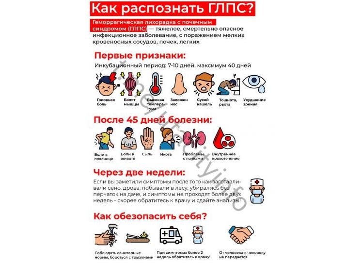 Симптомы мышиной лихорадки у детей — первые признаки болезни