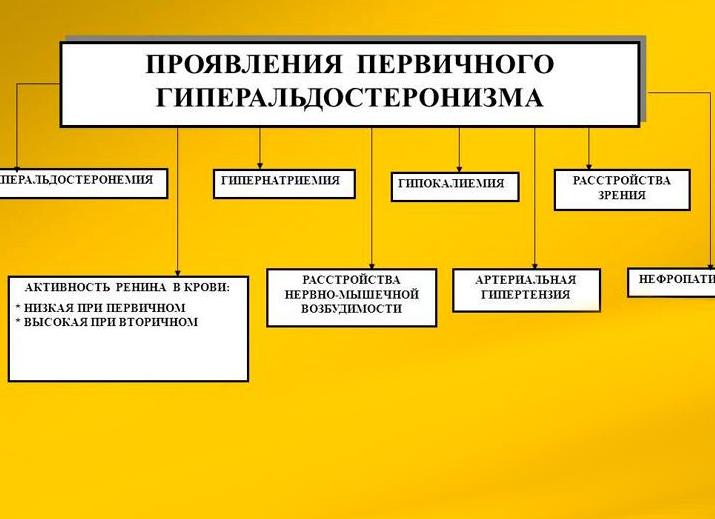 Идиопатический гиперальдостеронизм — симптомы, диагностика и методы лечения