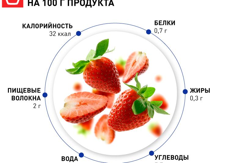 В чем польза и вред клубники для здровья человека?