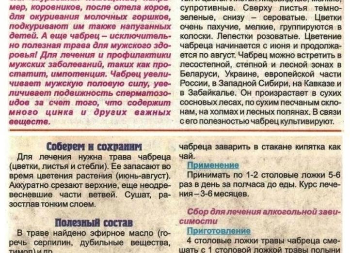 Чабрец для потенции у мужчин