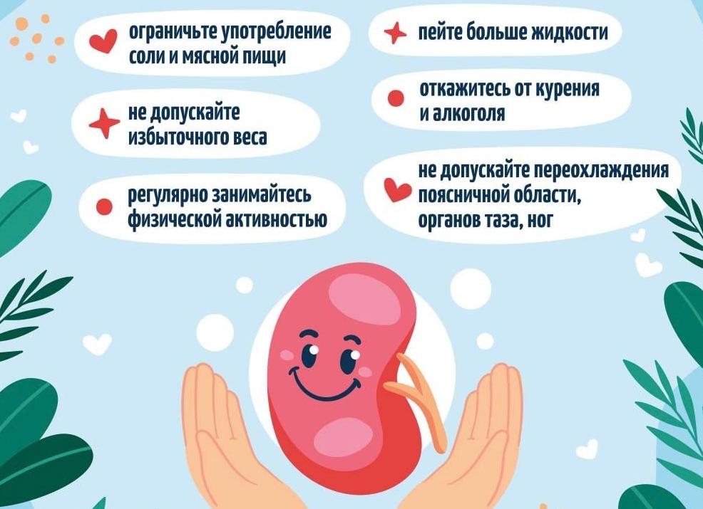 Как и зачем чистить почки?