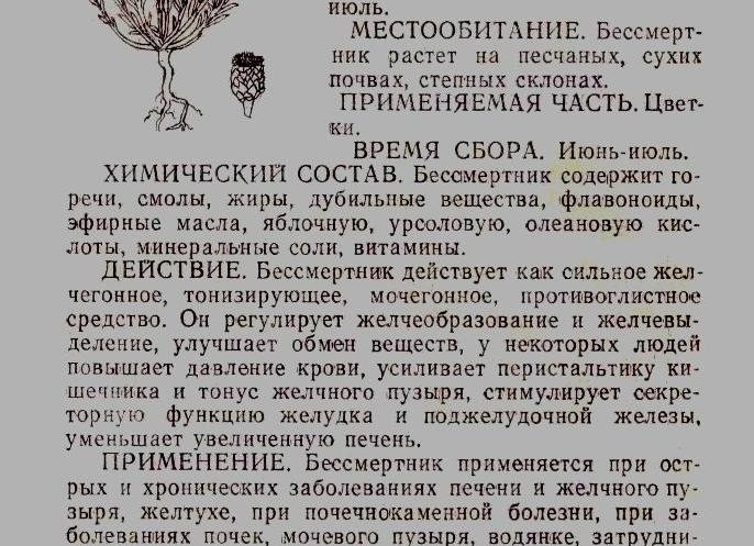Какие травы повышают давление — список растений