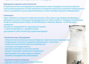Профилактика стресса — лучшие методы и способы избежать нервного срыва
