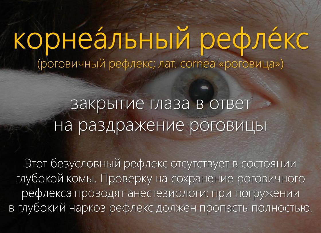 Что такое роговичный рефлекс и что означает его отсутствие?