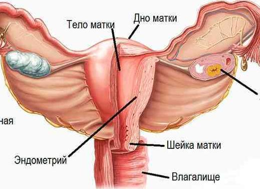 Рак матки – симптомы и первые признаки