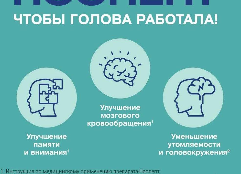 Лекарства для улучшения памяти, мозгового кровообращения и внимания — список эффективных
