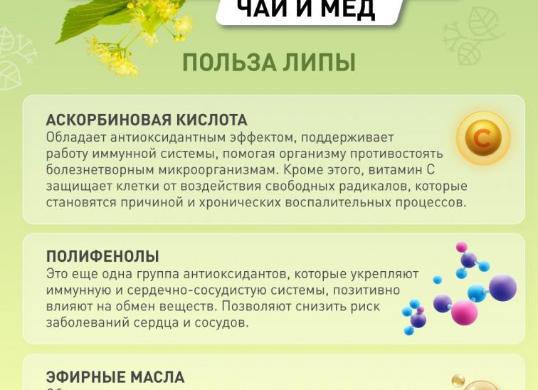 Какими полезными свойствами обладает липовый чай и можно ли его детям?