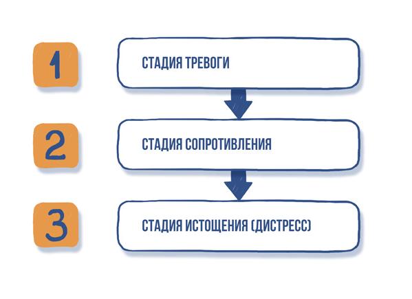 Полная классификация стресса: стадии и фазы развития, виды и разновидности