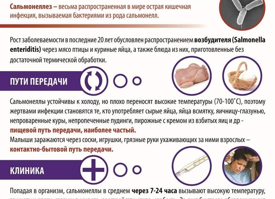 Сальмонеллез у детей — пути заражения и передачи, симптомы, формы, диагностика, лечение и меры профилактики