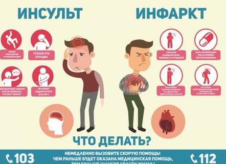 Профилактика инсульта и инфаркта — препараты и народные средства