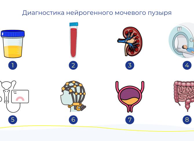 Нейрогенный мочевой пузырь у женщин – симптомы дисфункции и первые признаки