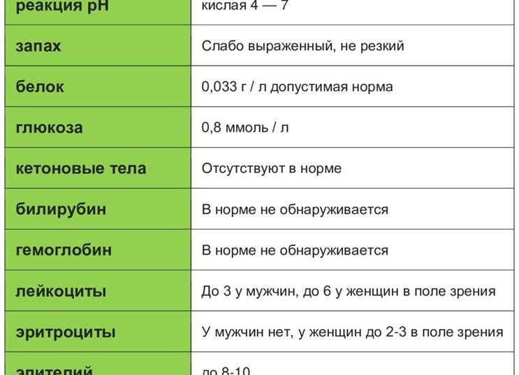 Сахар в моче — норма у мужчин и женщин, причины повышенных значений и как правильно сдавать анализ