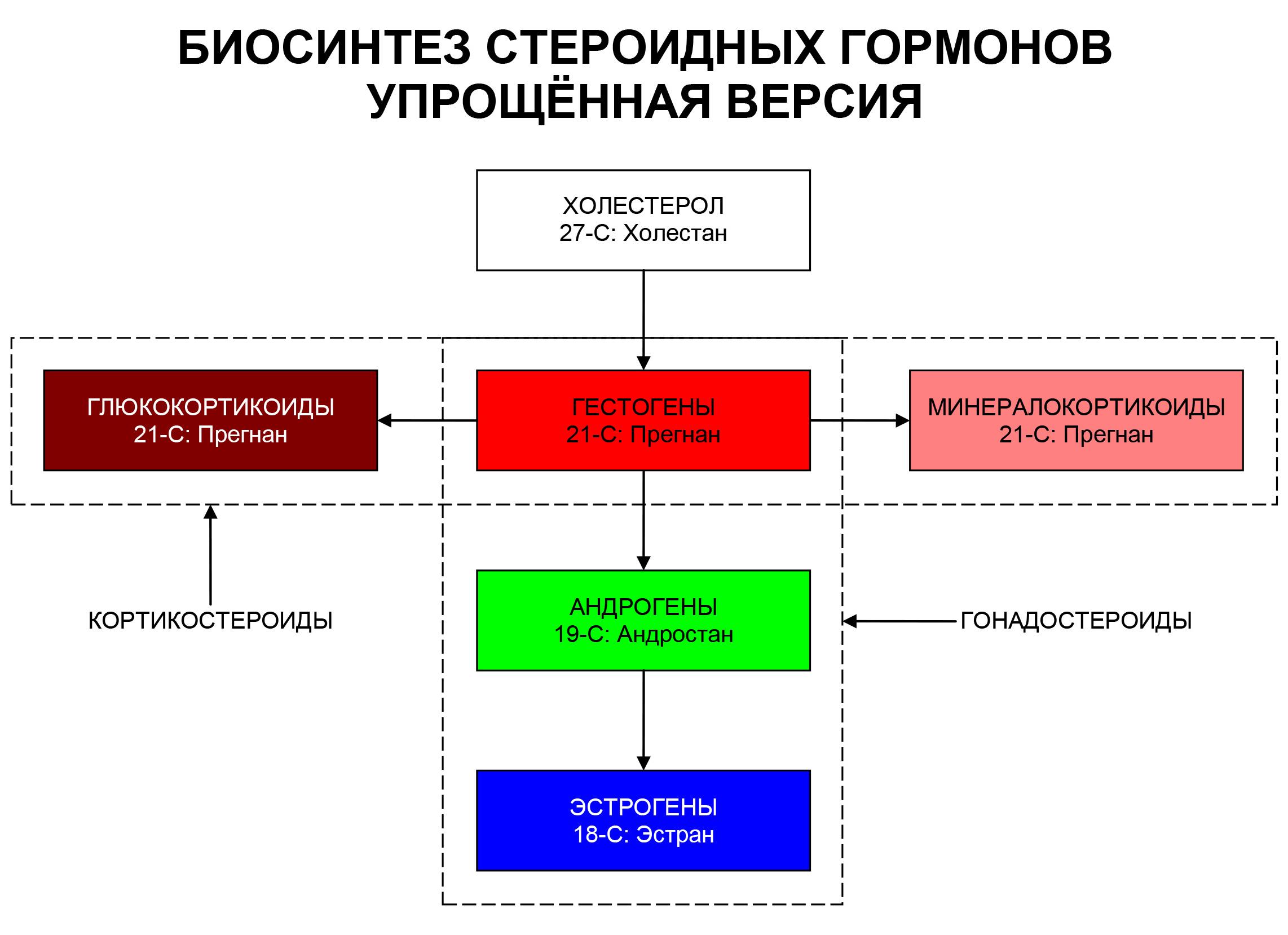 Виды и перечень кортикостероидов