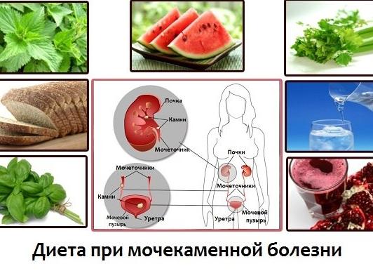 Диета при оксалатах в моче — запрещенные продукты и правила питания