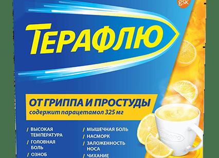 Инструкция по применению Терафлю, состав и цена