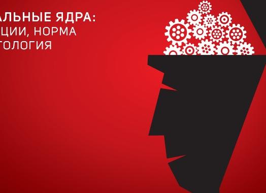 Роль базальных ядер в обеспечении двигательных функций