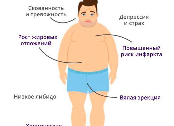 Повышенный тестостерон у мужчин — причины, симптомы, диагностика, лечение медикаментами и питанием