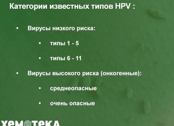Типы вируса папилломы человека — классификация по онкогенности