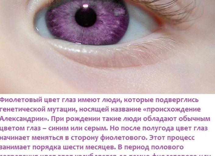 Самые распространенный болезни глаз у человека — список заболеваний