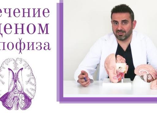 Киста гипофиза: причины, симптомы и лечение опухоли головного мозга этой области