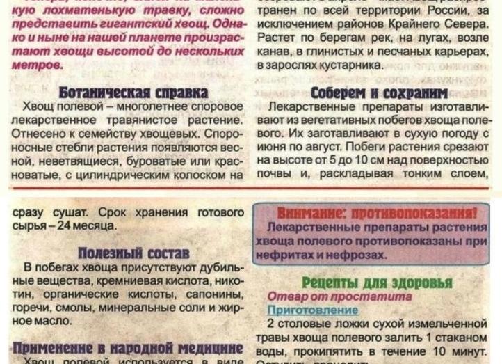 Сосудорасширяющие препараты для головного мозга при остеохондрозе шеи