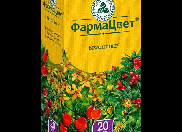 Бруснивер – инструкция по применению, показания, форма выпуска, состав, дозировка и цена