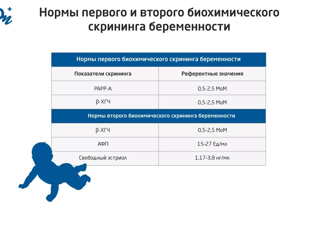 Второй скрининг при беременности — показания, сроки и правила проведения процедуры