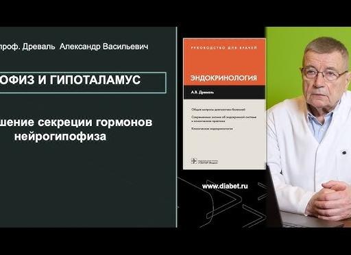 Как гипофиз управляет секрецией гормонов