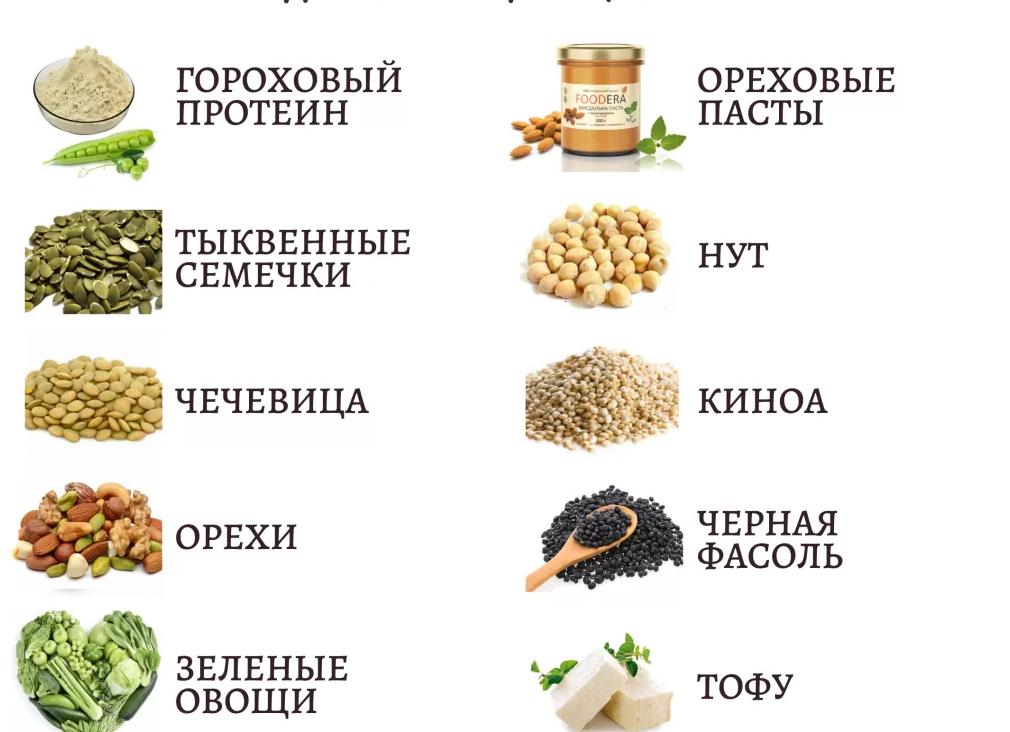В каких продуктах содержится белок растительного и животного происхождения?