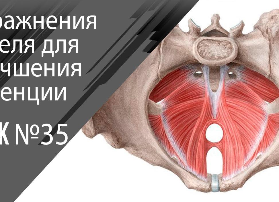 Йога для повышения потенции у мужчин — правила и техника выполнения упражнений, укрепляющих мужское здоровье
