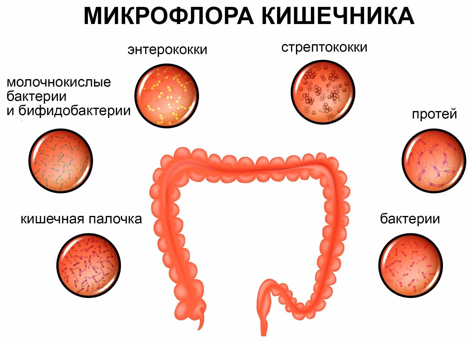 Как производится лечение дисбактериоза у грудных и более взрослых детей?