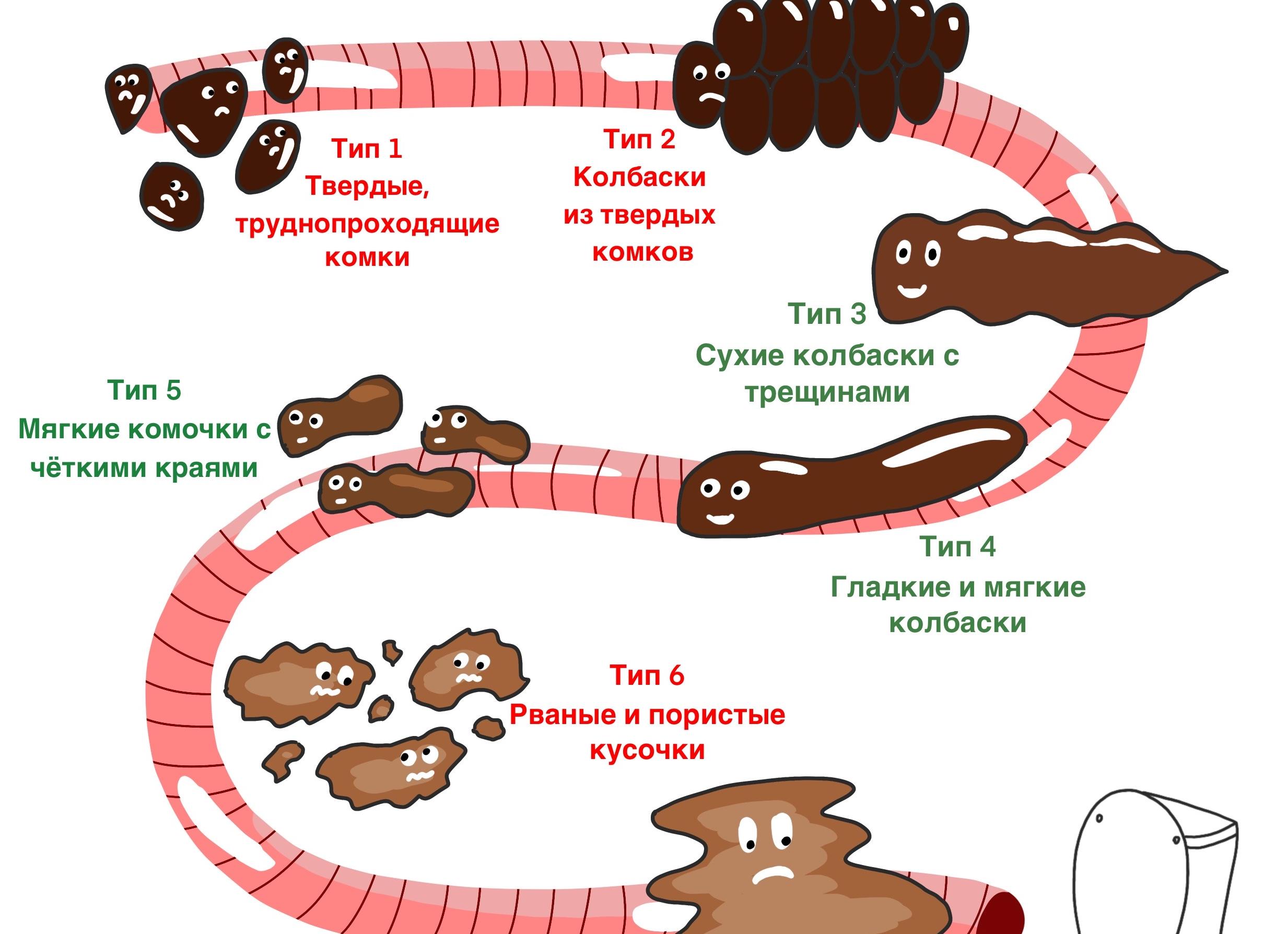 Лечение и профилактика запоров при беременности