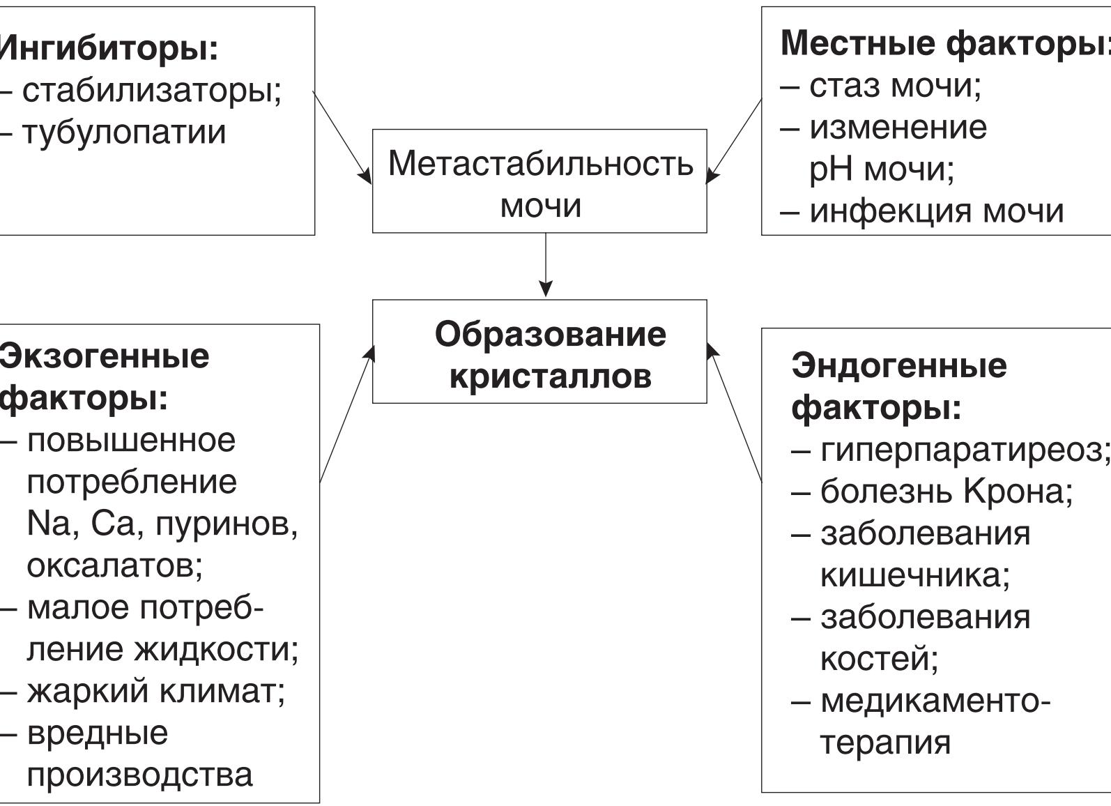 Причины аденомы простаты — экзогенные, эндогенные и провоцирующие факторы