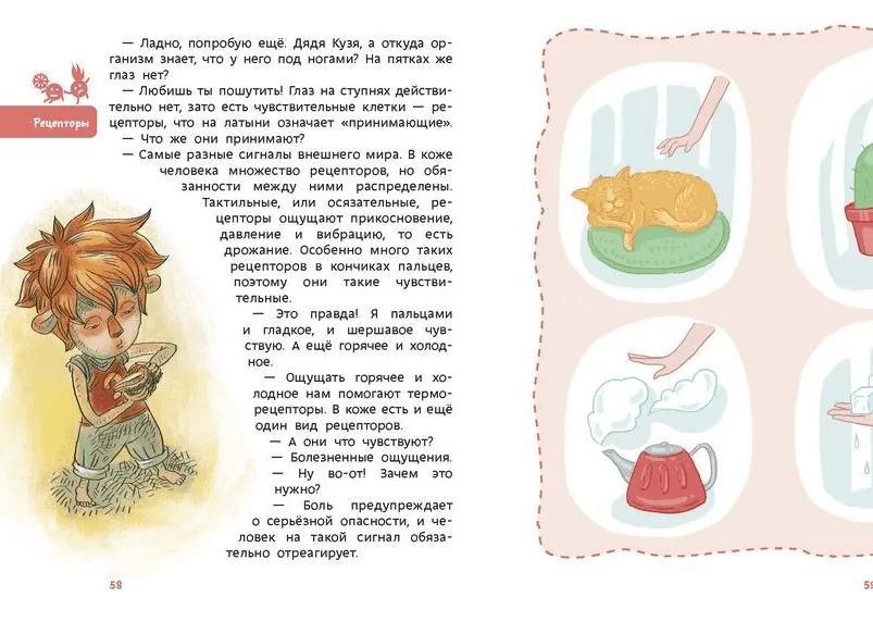 Как устроен рецептор