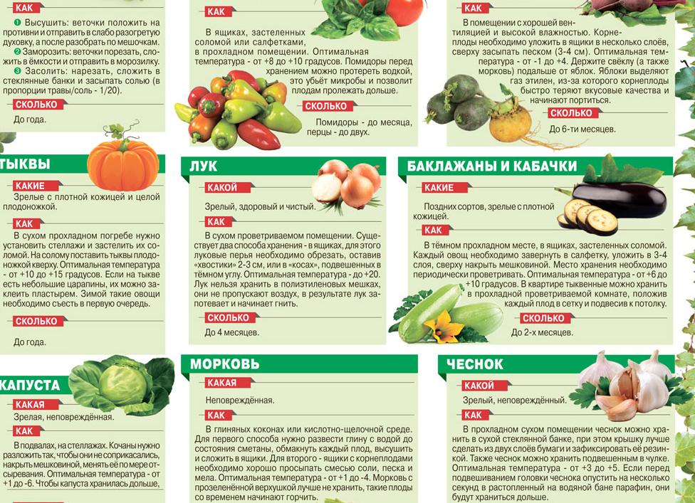 Какие фрукты полезны и их можно есть при сахарном диабете 2 типа, а какие нельзя?