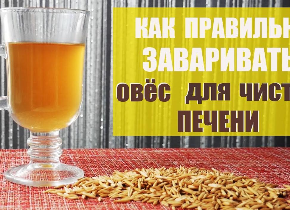 Овес для печени — как правильно заваривать и принимать