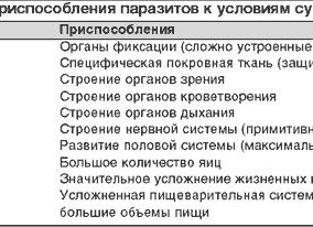 Паразитарные заболевания кожи