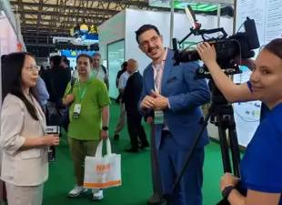 Роль норадреналина в обеспечении надлежащей работы органов