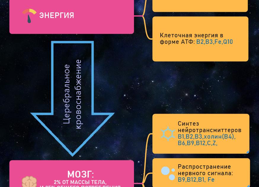 Витамины при депрессии и стрессе