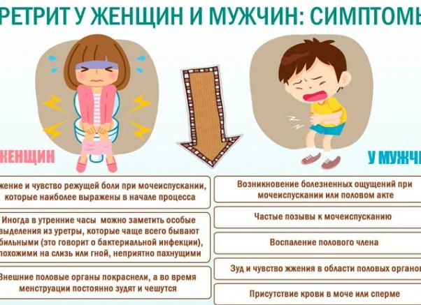 Боль при мочеиспускании у женщин — причины возникновения и лечение