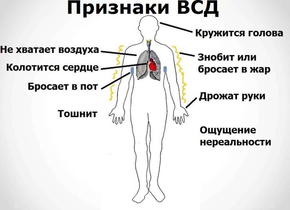 Вегето-сосудистая дистония — каковы симптомы и методы лечения ВСД?