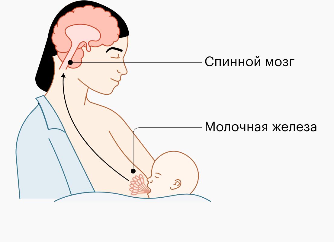 С помощью мозговой стимуляции можно избавиться от тревоги и фобий