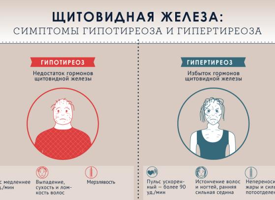 Норма щитовидной железы у женщин и детей — показания к назначению исследования и расшифровка результатов