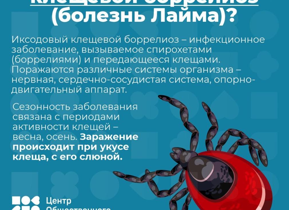 Клещевой боррелиоз