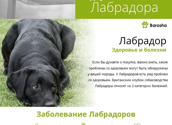 Виды артритов и классификация заболевания — симптомы, диагностика и лечение