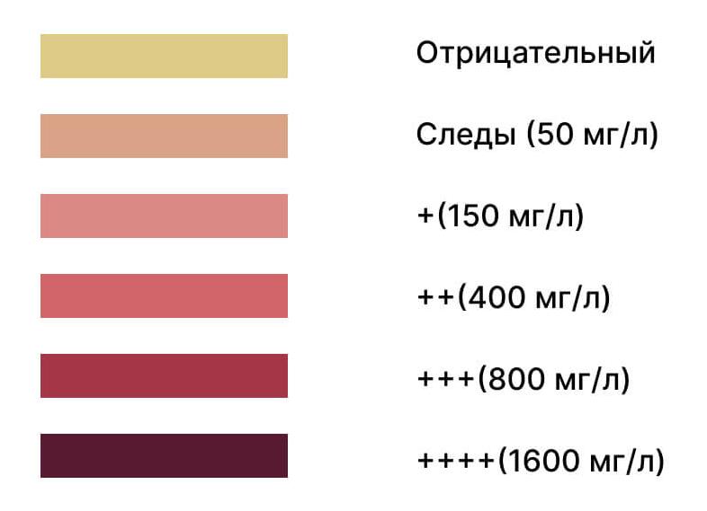 Кетоновые тела в моче при беременности у женщин: норма и последствия