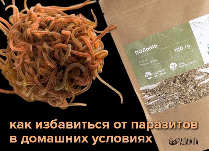 Народные средства от глистов у детей и взрослых — самые эффективные для лечения в домашних условиях