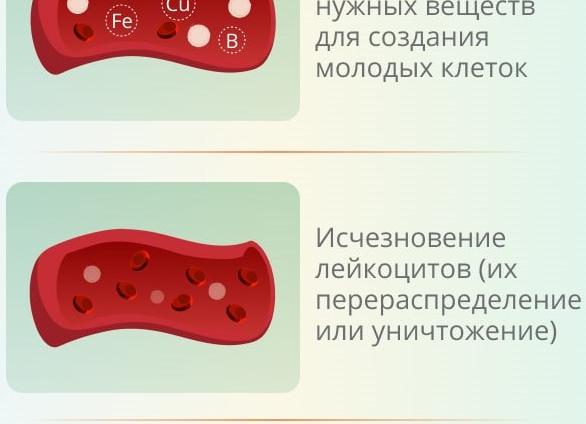 Из-за чего могут быть лейкоциты в кале: возможные причины, нормы и отклонения у взрослых и детей